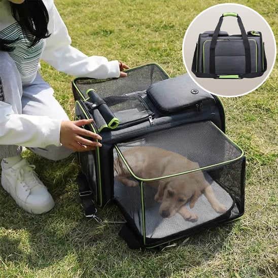 Sac de transport pour chien Sacband ouvert chien