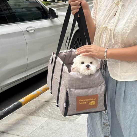 Sac de transport pour Chien Voyséc auto